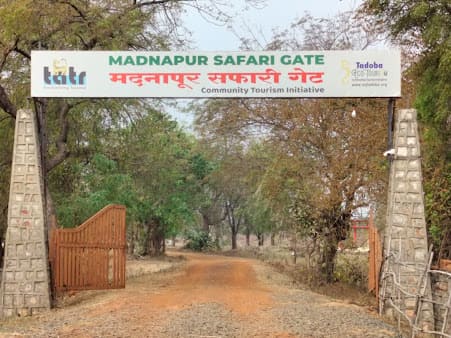 Tadoba Madnapur gate