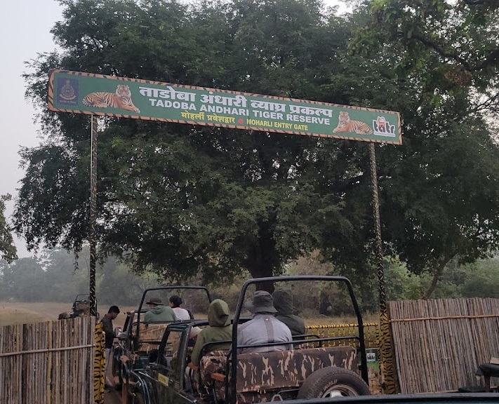 Tadoba moharli gate