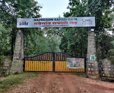 Tadoba navegaon gate